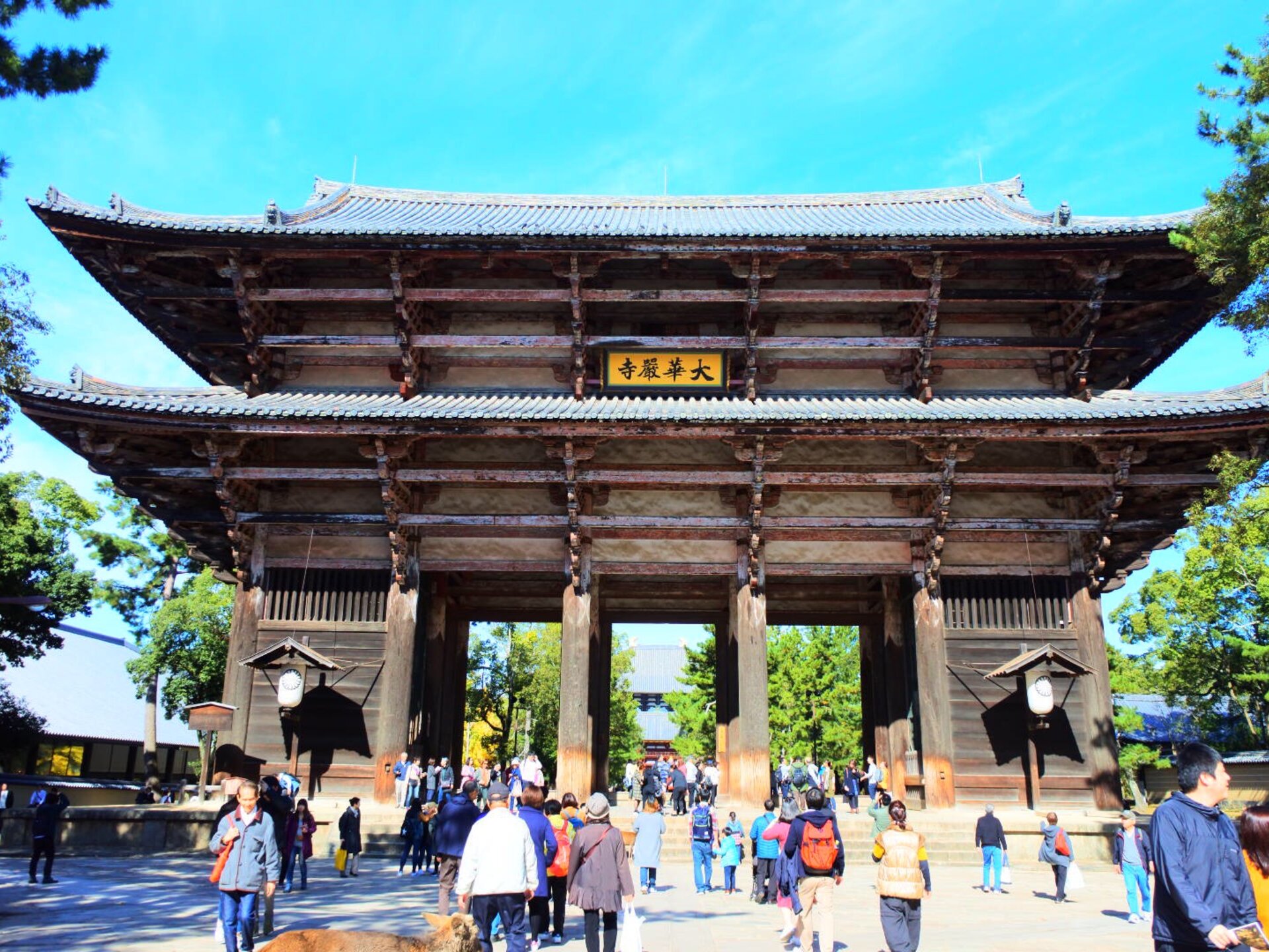 東大寺南大門の像の大きさはどれ位ですか？ – 東大寺南大門 断面図 – QCVV